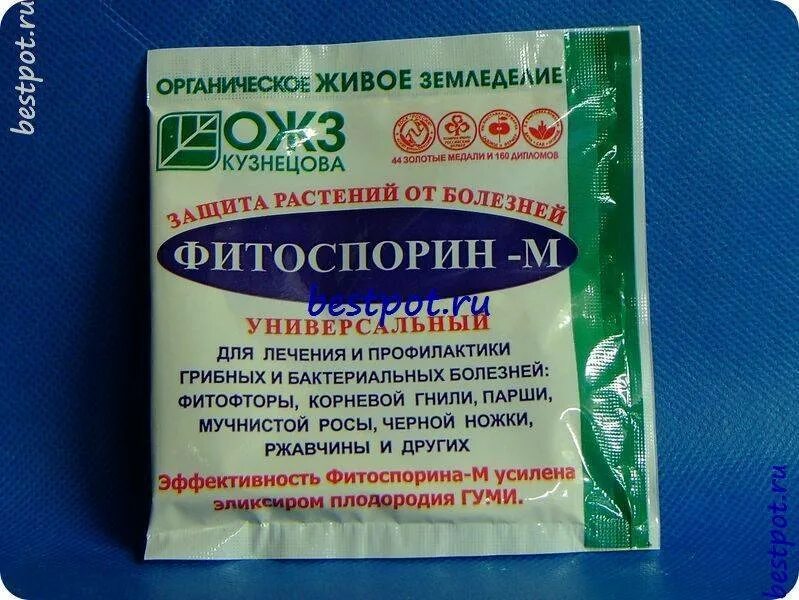Признаки фитотоксичности серосодержащих фунгицидов