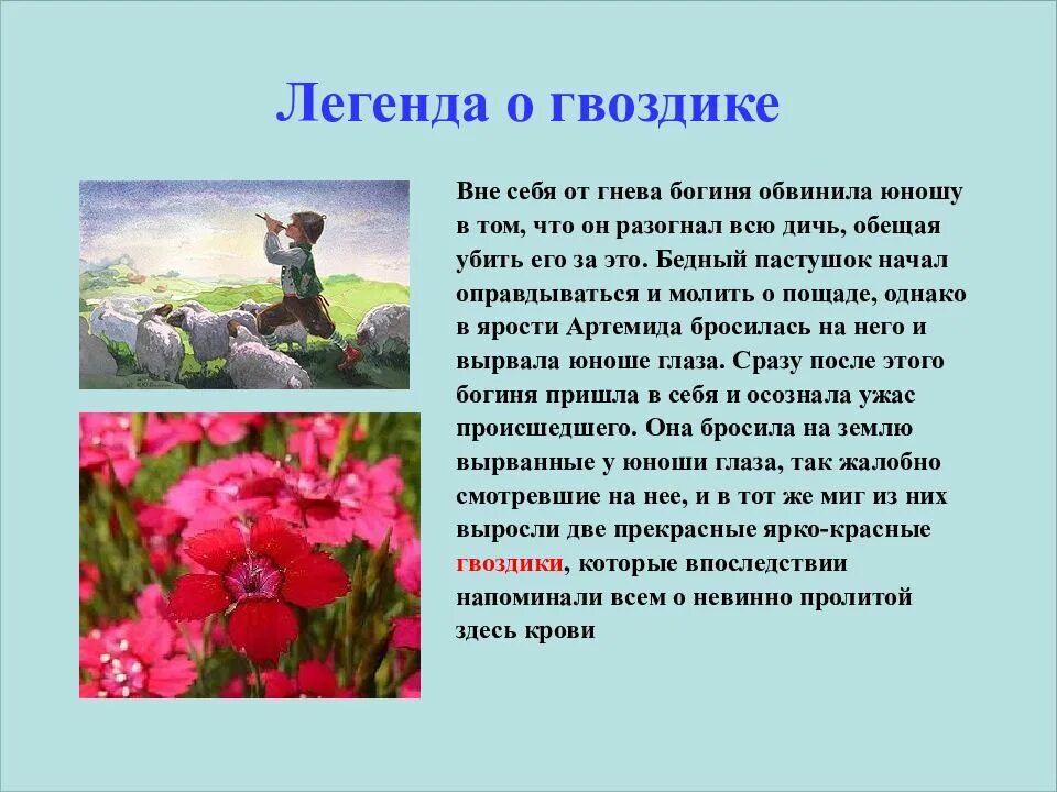 Какая информация вынесена в легенду
