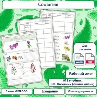 Рабочие программы по линии пасечника