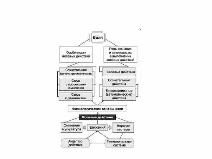 Воля это регулирование своим поведением. Структура произвольного поведения в психологии. Воля как процесс сознательного регулирования поведения. Схема произвольного поведения. Воля как процесс сознательного регулирования поведения психология.
