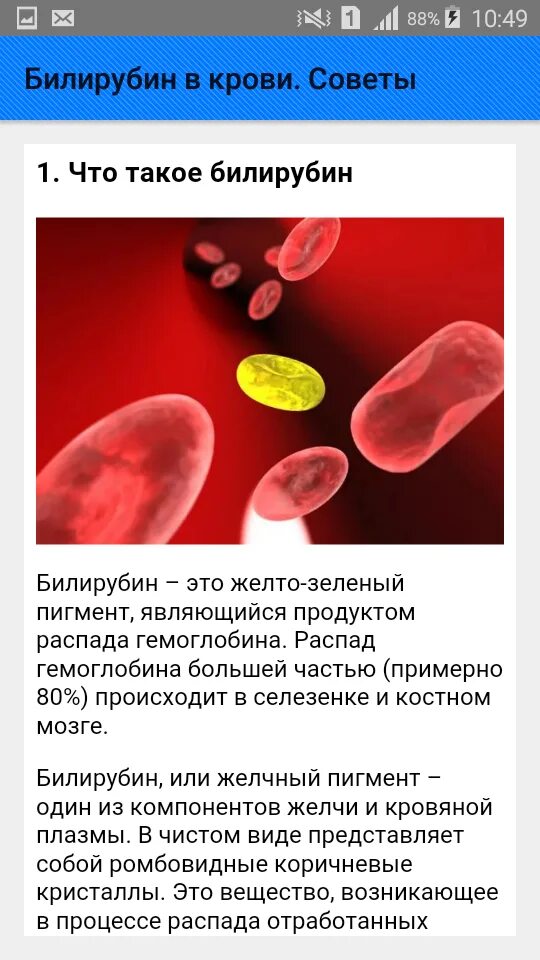 В крови сильно повышен. Опасный показатель билирубина в крови. Повышение содержания билирубина в крови. Билирубин в крови что это такое. Билирубин степень превышения.