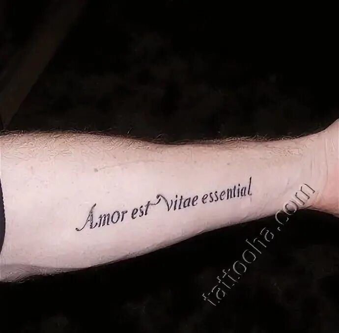 Vitae est. Vitae Татуировка. Amor est vitae Essentia тату. Amor латынь. Amor est vitae Essentia перевод.