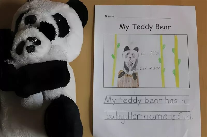 Teddy bear перевод язык. Teddy Bear write. A Bear is writing. Прописи слова Teddy Bear. That's not my Teddy.