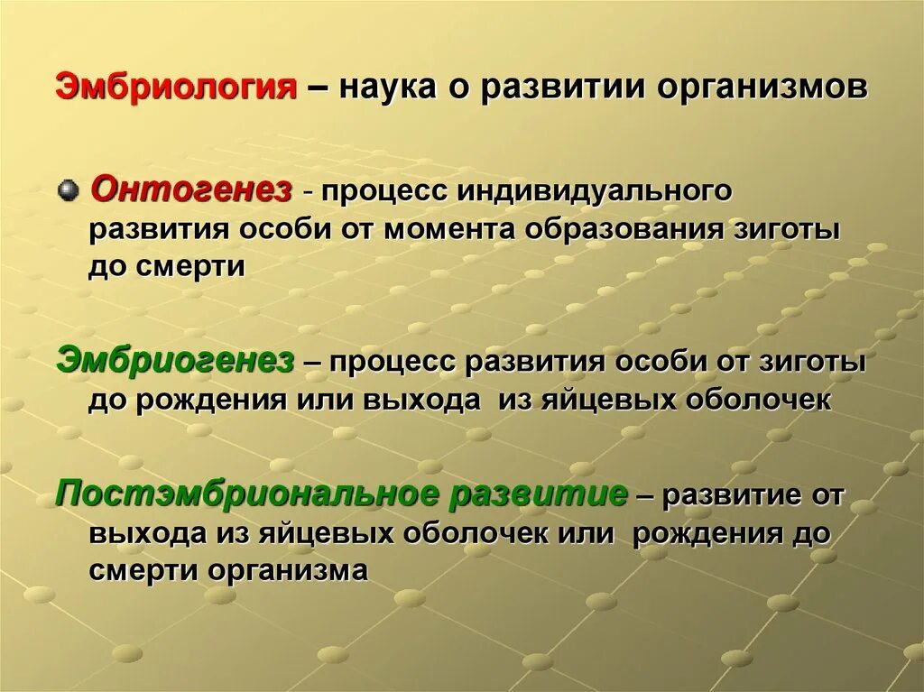 Дать определение онтогенез. Термин индивидуальное развитие. Онтогенез эмбриология. Эмбриогенез развитие орга. Процесс индивидуального развития.