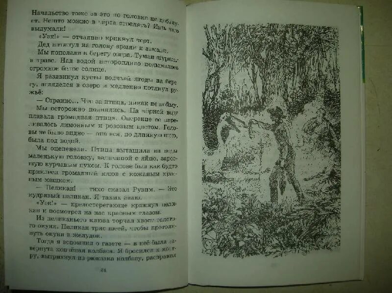 Заячьи лапы паустовский содержание 5 класс. Изложение Паустовский заячьи лапы. Заячьи лапы Паустовский диктант. Изложение заячьи лапы.