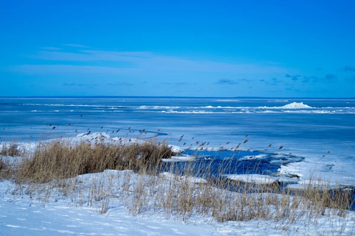 Карелия погода. Прогноз. Финский прогноз погоды в кронштадте. Западный котлин кронштадт. Прогноз погоды кронштадт на 10.