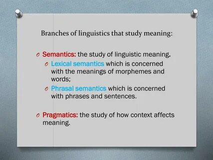 Study meaning