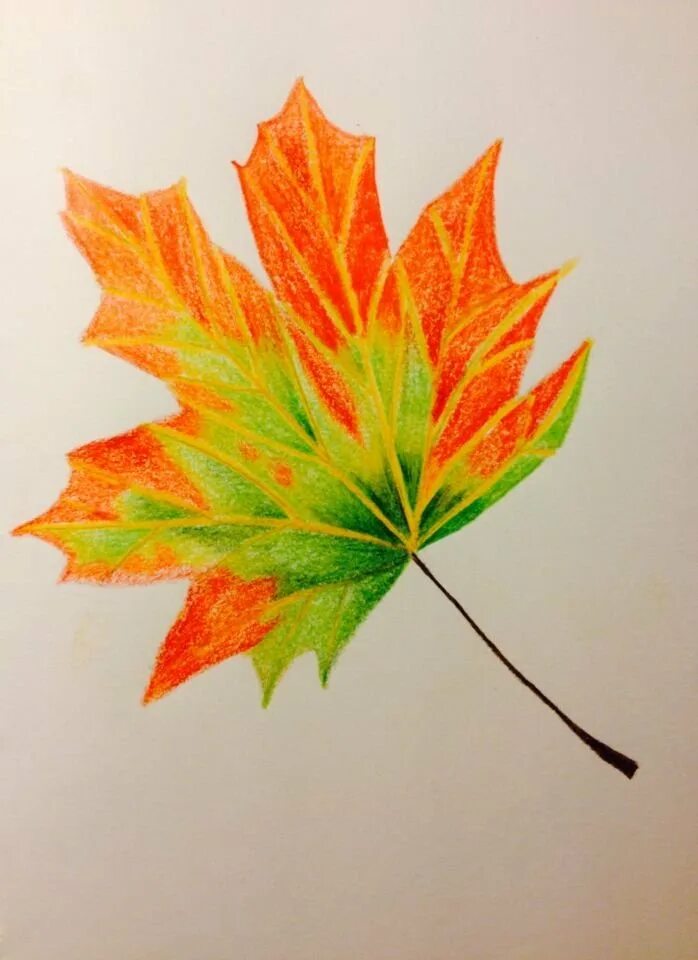 Кленовый лист. Красивые листья. Листики осенние. Рисование листьев.