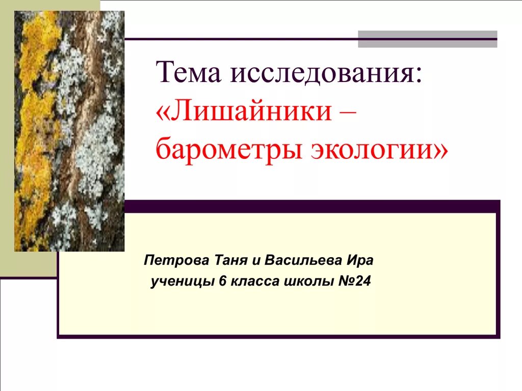 Исследование лишайников. Исследование лишайника. Учебно исследовательская работа про лишайники. Лишайники - барометры погоды. Исследование лишайников актуальность работы.