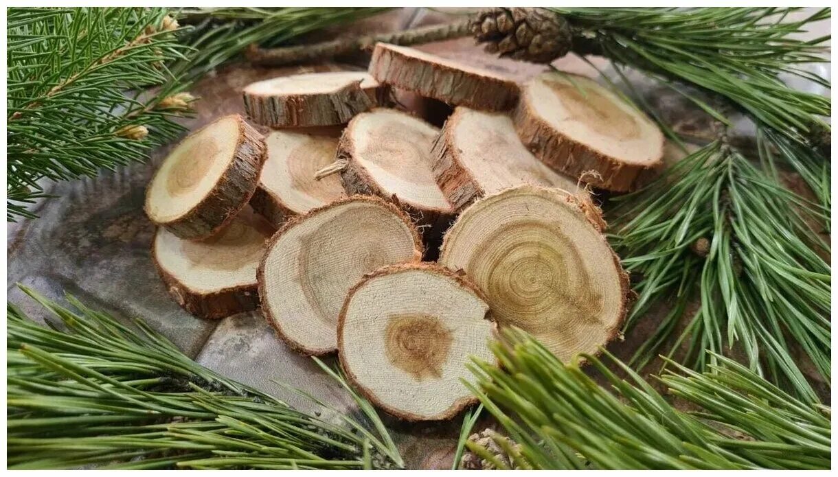 спил можжевельника