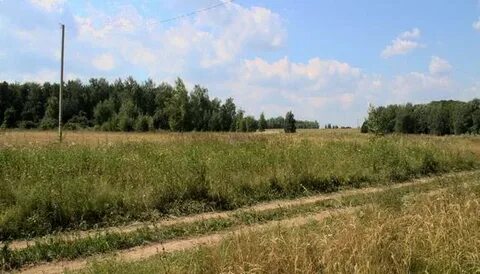 Николо поле