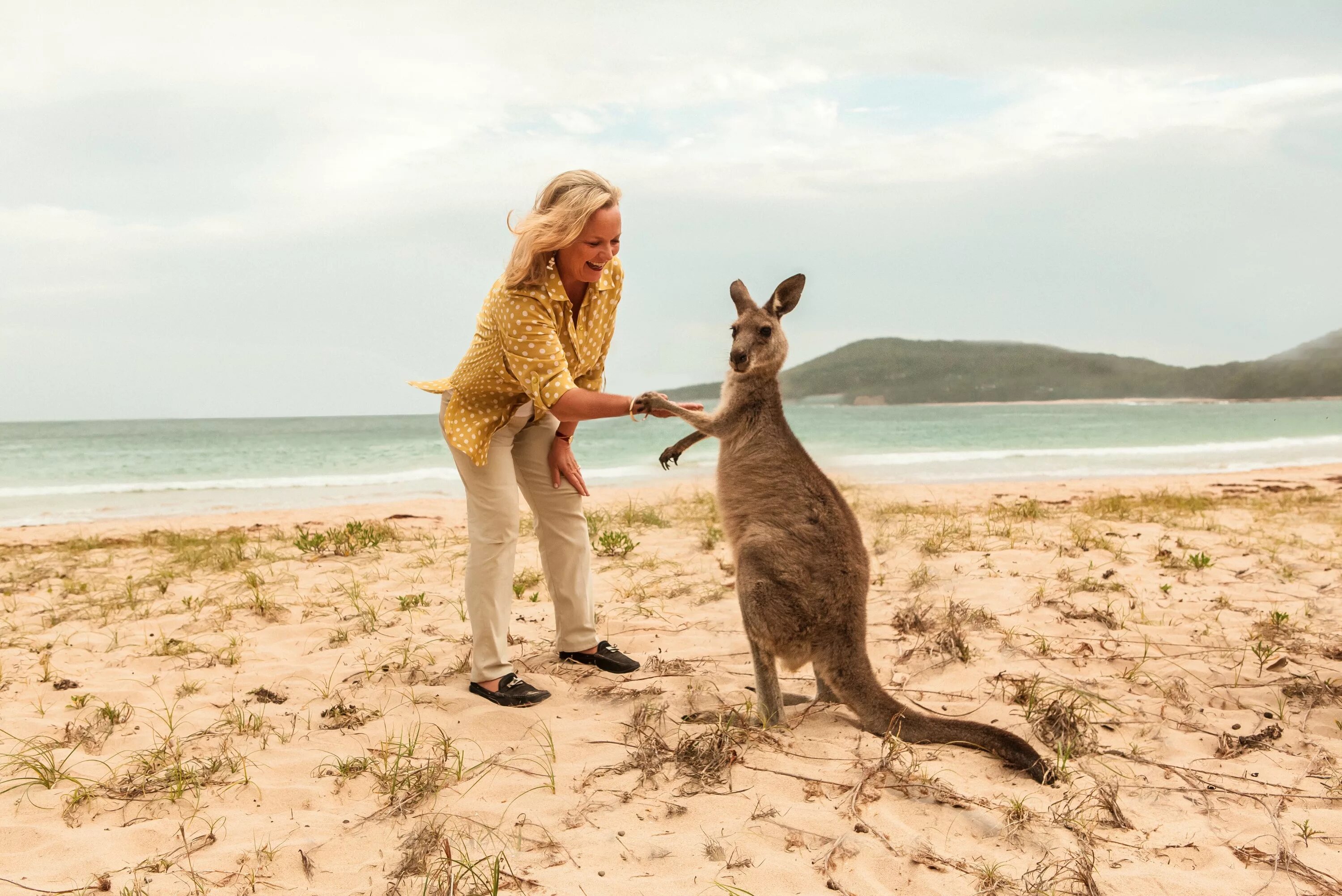 В австралии живет около. Остров кенгуру. Современная Австралия. Девушка и кенгуру. Австралия люди.