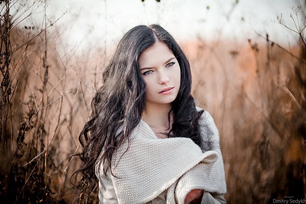 чихуахуа дир. собаки маленьких пород чихуахуа. черный тигр кишан. чихуахуа короткошерстные. тигр фэнтези.