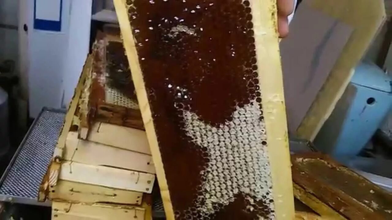 Что сделать из пчелиных сот