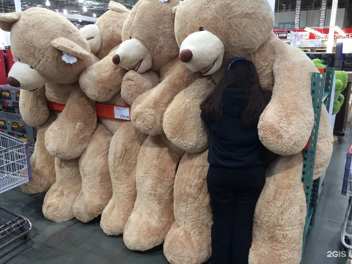 Где продаются огромные. Огромные мягкие игрушки. игрушки мягкие плюшевые. плюшевый медведь. огромные плюшевые игрушки.