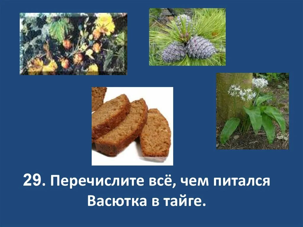 Васютка в тайге. Чем питался Васютка в тайге. Васюткино озеро. Васютка обитатели тайги.