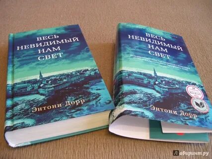 Читать книгу весь невидимый нам свет
