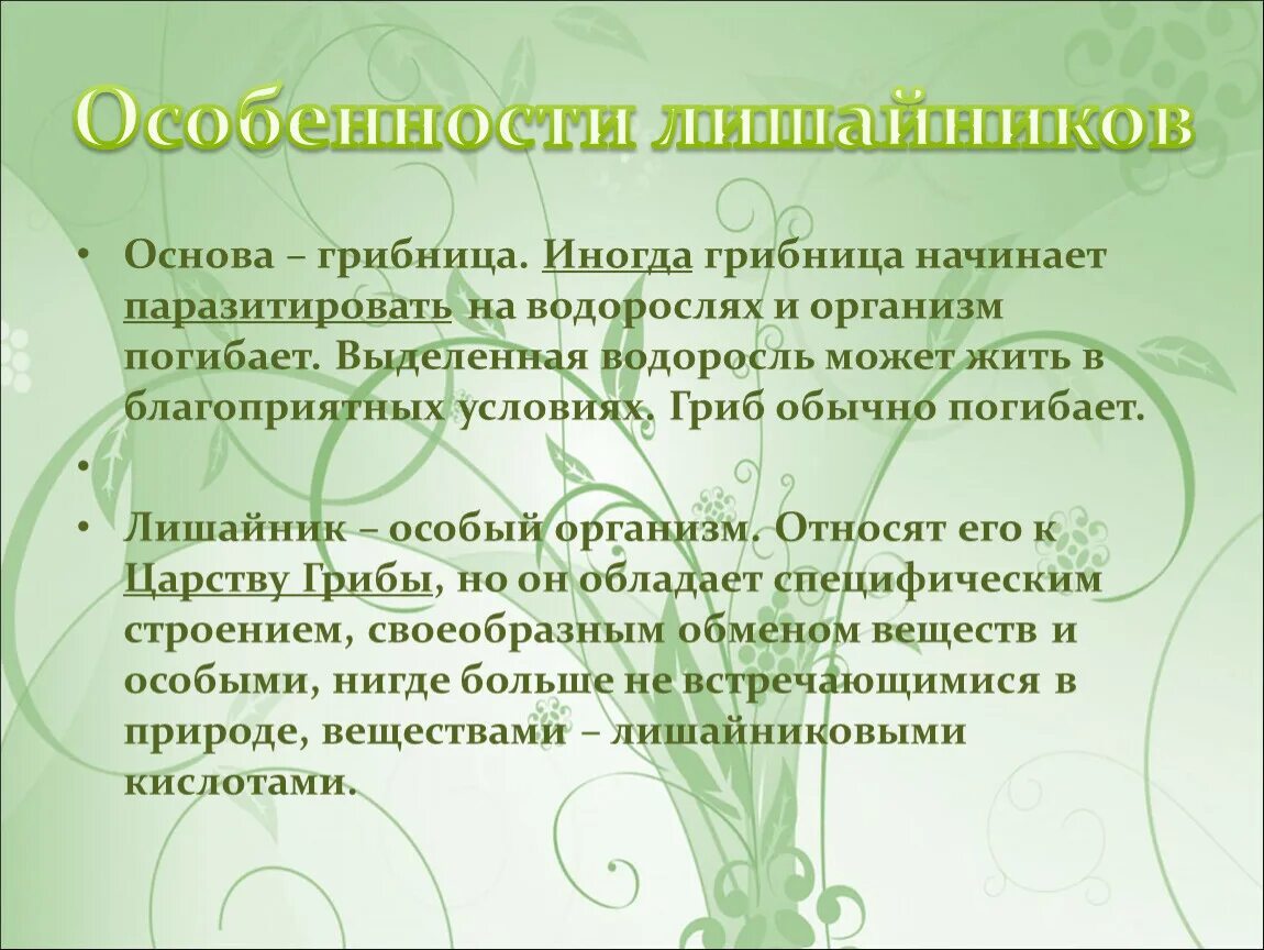 Характеристика лишайника биология 5 класс. Лишайники особенности. Характеристика лишайников 7 класс биология. Характеристика отдела лишайники. Разнообразие лишайников.