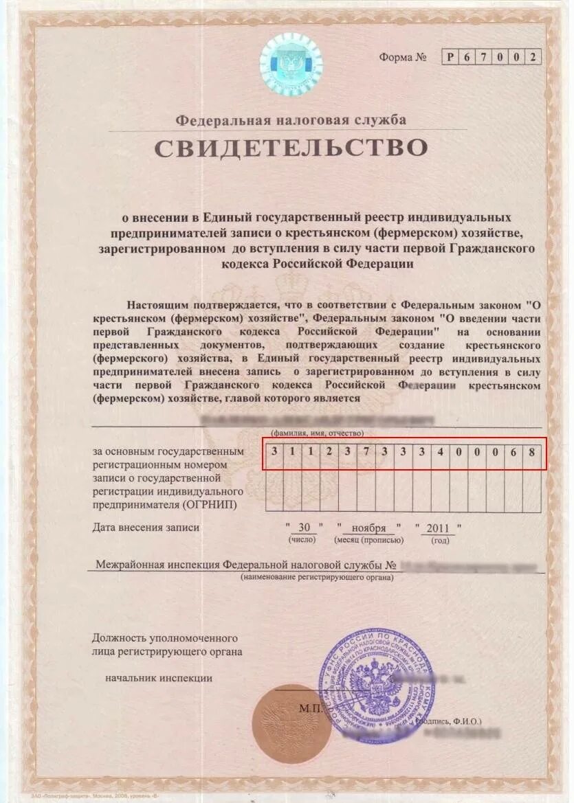 Ип регистрационный номер (огрнип). Огрнип. Огрн расшифровка. Огрн это расшифровка. Огрн расшифровка.