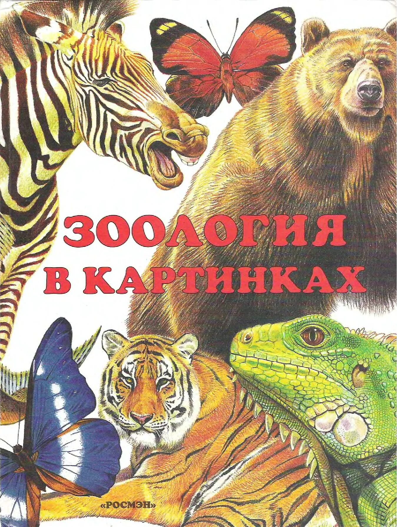 Книги про зоологию. Барков Зоология в картинках. Зоология книга. Зоология в картинках книга. Книги о зоологии детские.