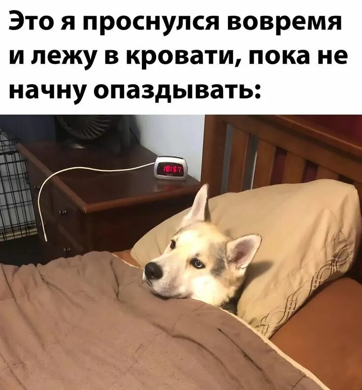 Когда друг забыл дать одеяло. Когда не дали одеяло. Когда друг не дал одеяло. Просятся ночевать. Думали что зима ушла по-английски.