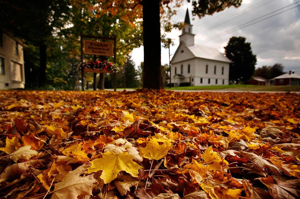 сентябрь спустя. осень фото. сентябрь спустя. осенняя полянка. золотая осень.