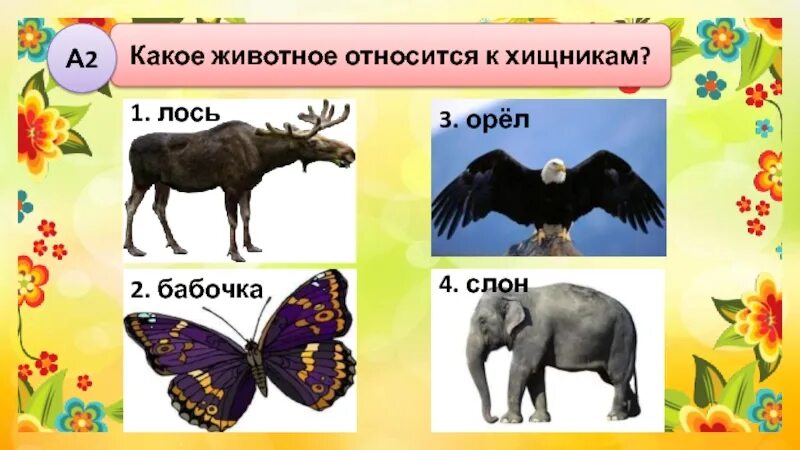 Слон лось. Какое животное относится к хищникам. Какое животное не относится к хищникам. Какое животное относится к 2012 году.