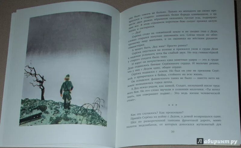 Иллюстрация к книге как Сережа на войну ходил. Яковлев как Сережа на войну ходил обложка книги.