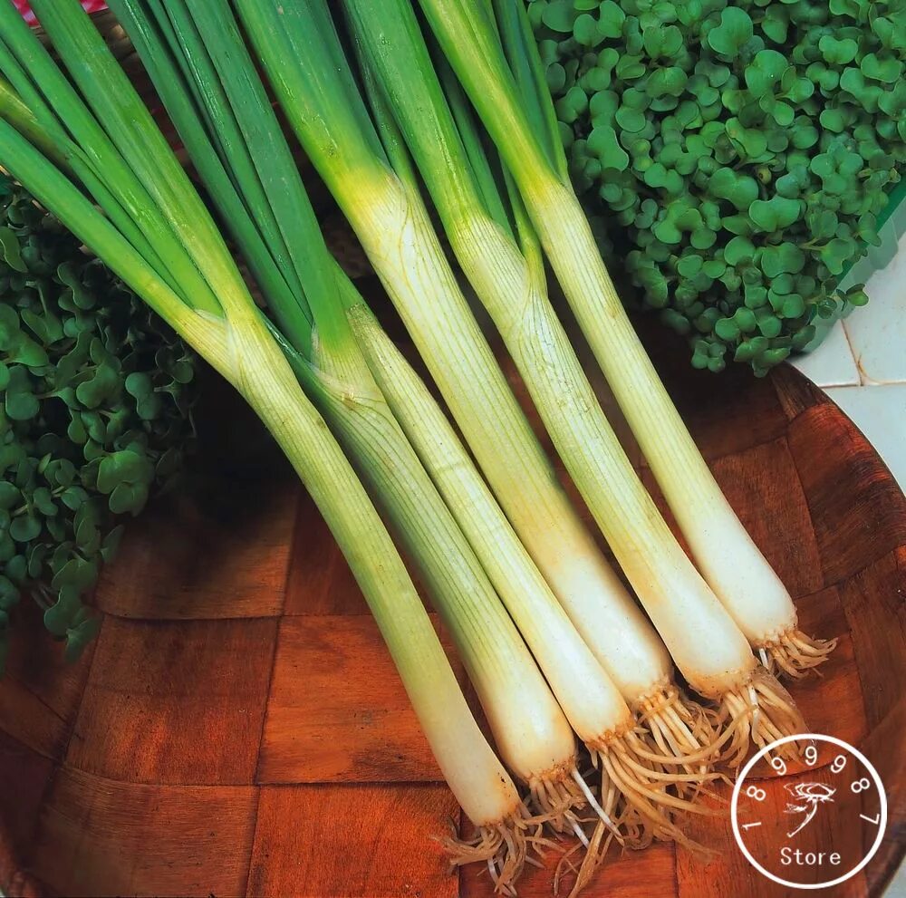 Стебель сельдерея 1 шт. Terong hijau/ green long eggplant. Длинные овощи. Длинные овощи. Темный удлиненный овощ.