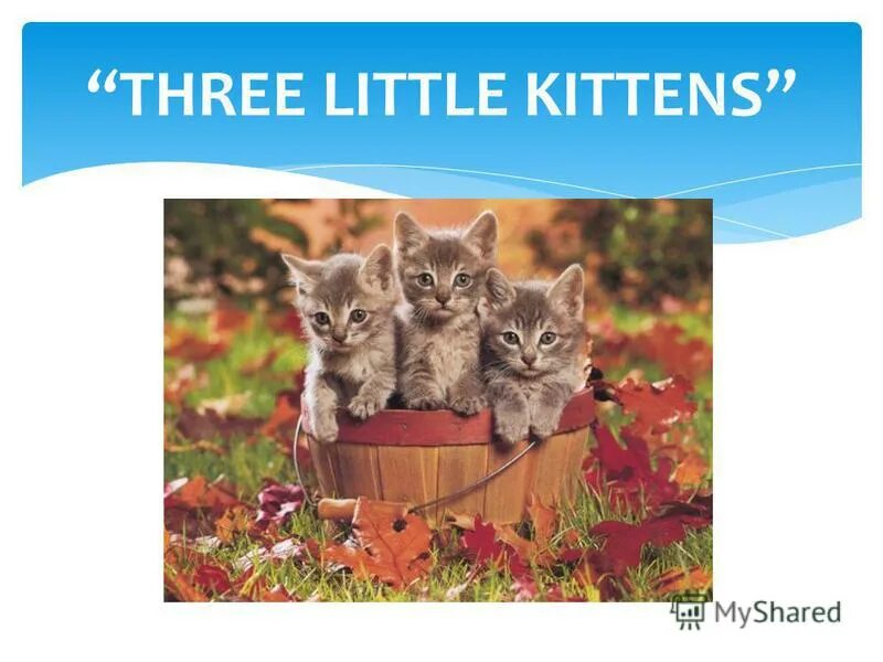 Little kittens lost their mittens. маленькие предложения о котятах. стих про кота на английском. стишок про котят на английском. Little kittens перевод.