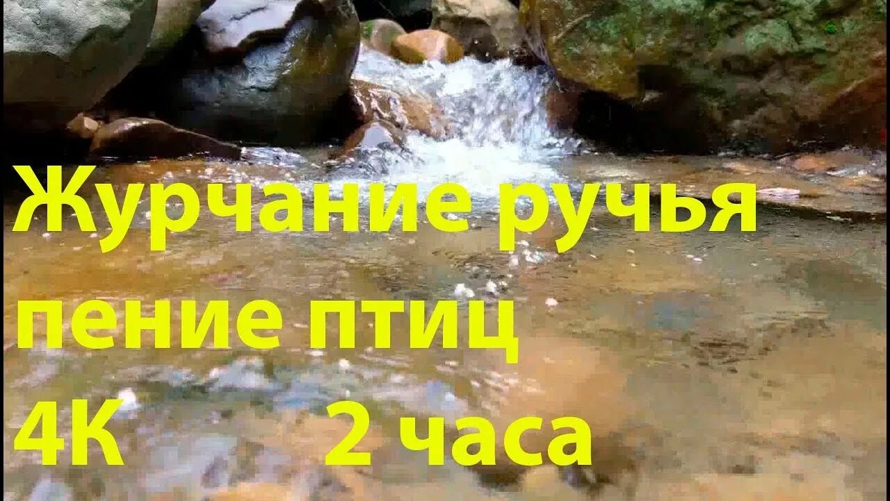 Журчание ручья и пение птиц. Звук журчания ручья. Журчание воды ручей. Релакс журчанье воды. Музыка шум воды слушать