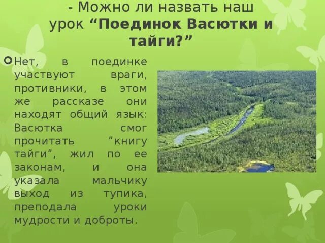 Зачем васютка отправился в тайгу васюткино озеро. Общая характеристика Васютки. Человек и природа в произведении Васюткино озеро. Образ Васютки. Характеристика главного героя Васютки.