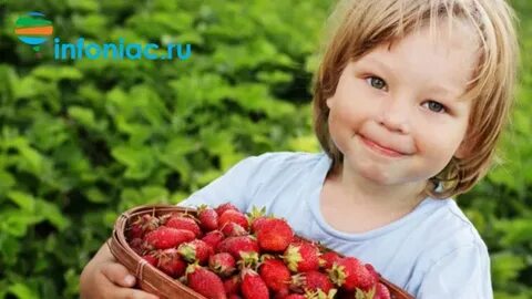 Клубника детям с какого возраста