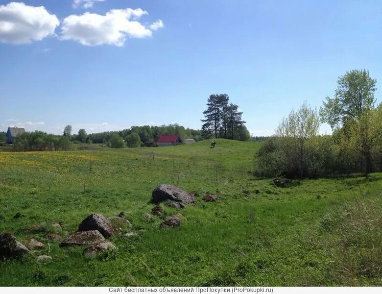 Земельные участки ленинградская область. Деревня кискелово ленинградская область. Деревня екатериновка всеволожский район. Поселок западная лица всеволожский район. Кискелово.