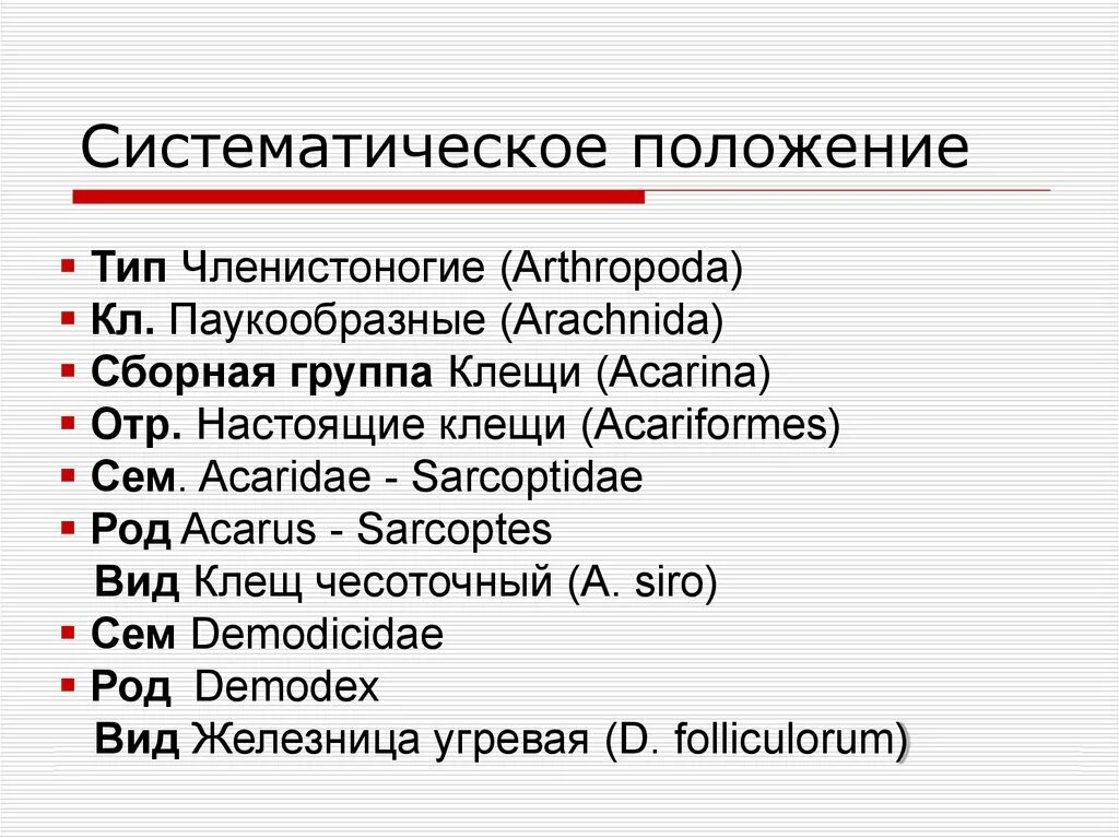 Систематическое положение членистоногих. Систематическое положение членистоногих