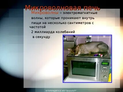 Микроволновка проект по физике