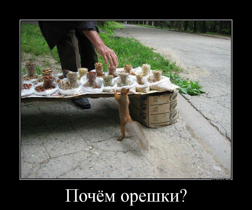 Почем взял
