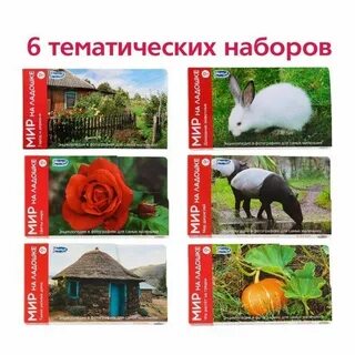 Мир умница