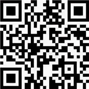 Qr код в word. Qr код в word