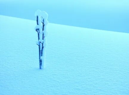 Wallpaper : blue, winter, snow, Canada, cold, nature, Canon, Quebec, hiver,...