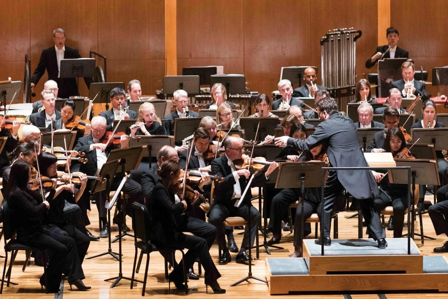 Orchestra 5. Группа Чикагский симфонический оркестр. Оркестр скрипок с дирижером. Дирижер симфонического оркестра. Скрипка в симфоническом оркестре.