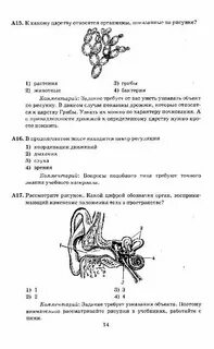 Тесты по почкам с ответами