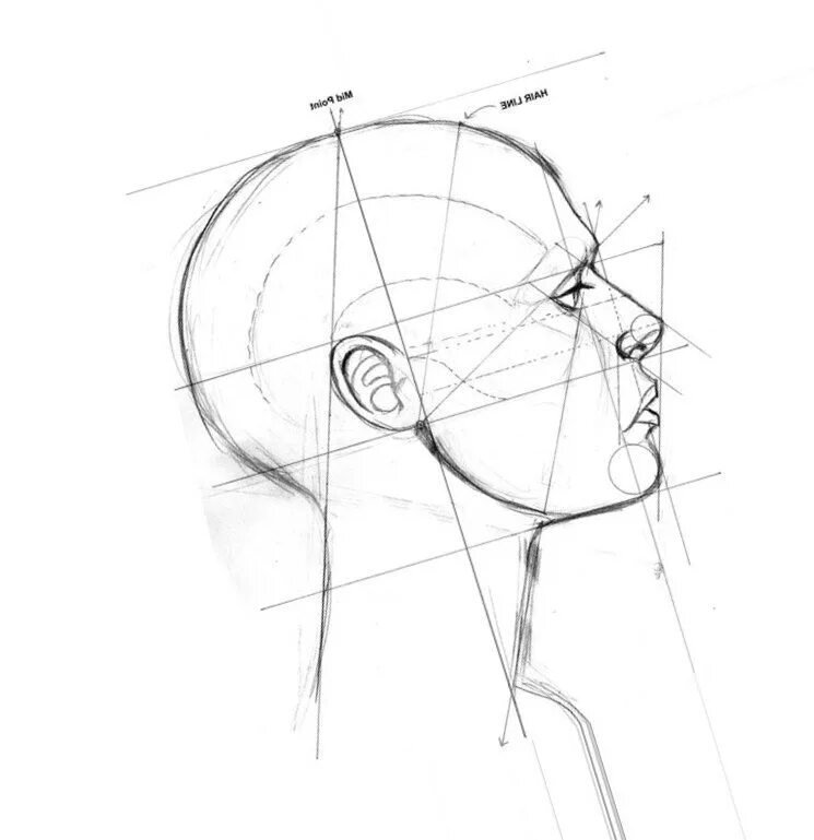 Построение головы. Рисование головы человека в профиль. Построение головы в профиль. Построение лица в профиль.