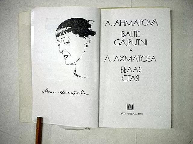 белая стая ахматова 1917. книга белая стая ахматова. стих ахматовой белая стая. стих ахматовой белая стая. стих белая стая ахматова.