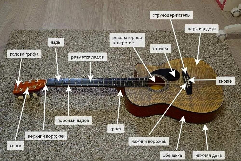 Зачем электрогитара. Гриф гитары вид сбоку. Анкер грифа акустической гитары. Строение анкера гитары. Гриф электрогитары.
