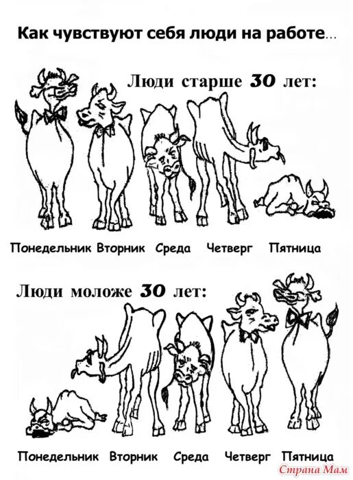 Рабочая неделя в графике 5 2 Улправда В Ульяновской области 38% работодателей уверены, что при переходе на