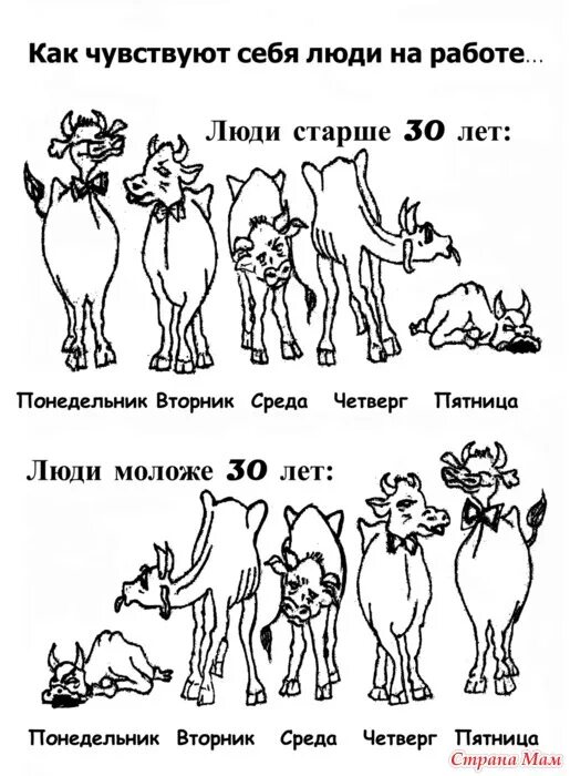 Как чувствуют себя люди на работе. Картинка как себя чувствуют люди на работе. Как чувствует себя лбли на работе. Как себя чувствует человек. 30 и 35 можно