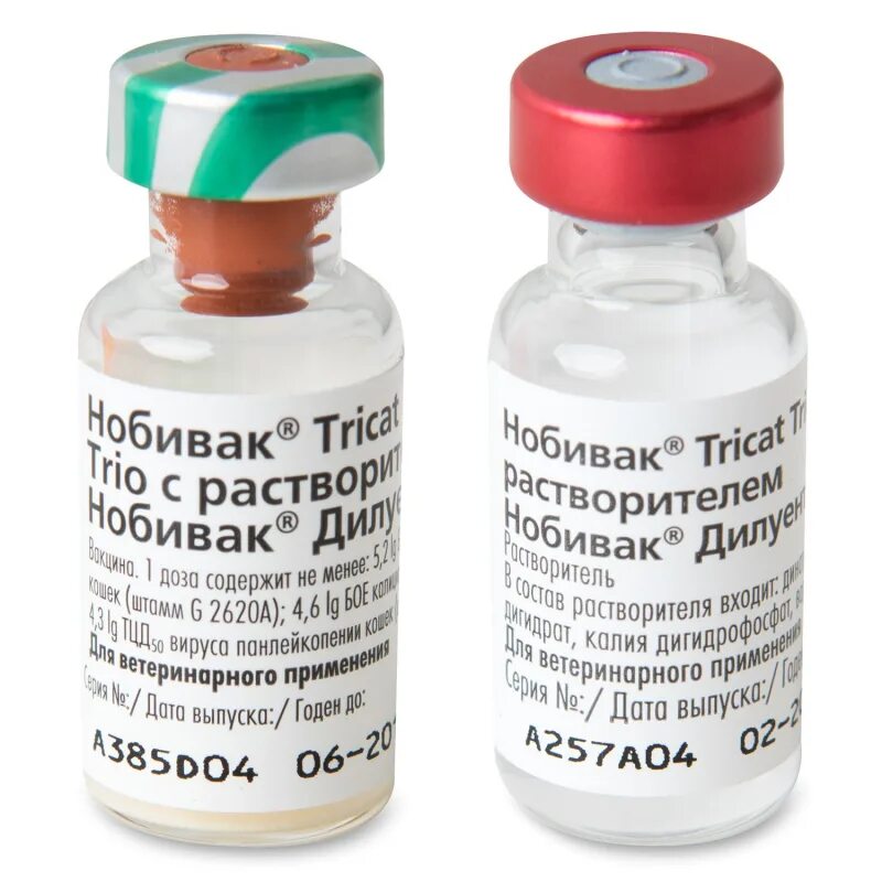 Трикет трио вакцина для кошек. Нобивак трикет трио (Nobivac® Tricat Trio). Нобивак Tricat Trio с растворителем Нобивак Дилуент. Нобивак разбавитель Nobivac Diluent.