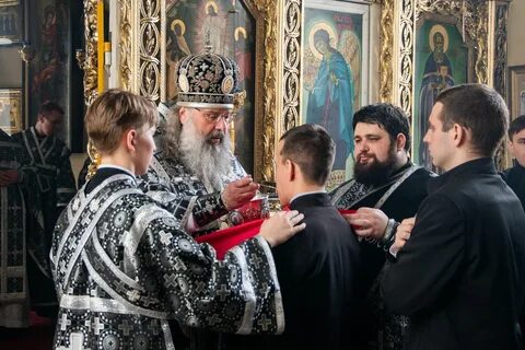 Передачи спаса на неделю