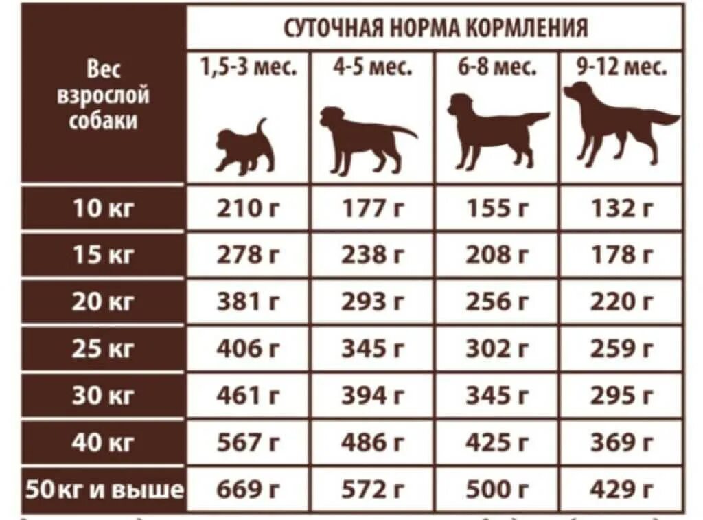 Таблица нормы сухого корма для собак. Норма кормления лабрадора в 4 месяца. Норма корма для щенка лабрадора 2 месяца. Вес и норма питания щенка лабрадора. Норма корма для щенка крупных пород 2 месяца.